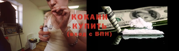 стафф Алзамай
