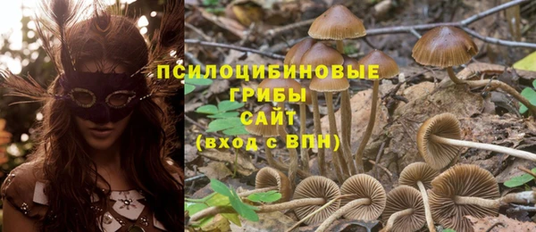 прущие крисы Алексеевка