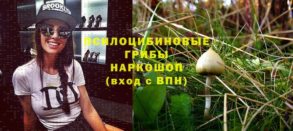 прущие крисы Алексеевка