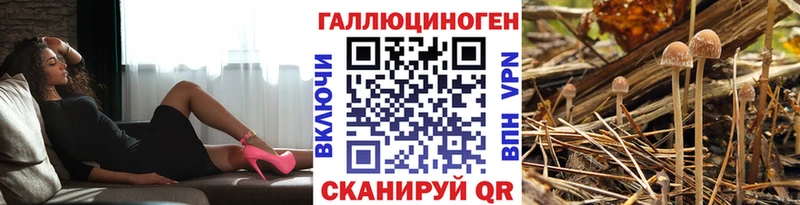 Галлюциногенные грибы Magic Shrooms  Купить где  Поворино 