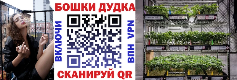 Бошки Шишки индика Купить где Поворино